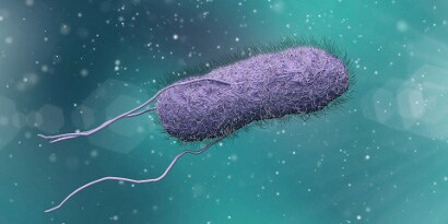 Renderowanie bakterii Salmonella
