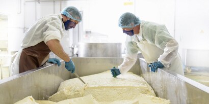 Produkty z zakresu bezpieczeństwa żywności dla przetwórstwa nabiału
