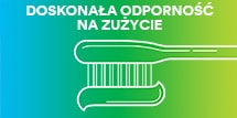 icon2
