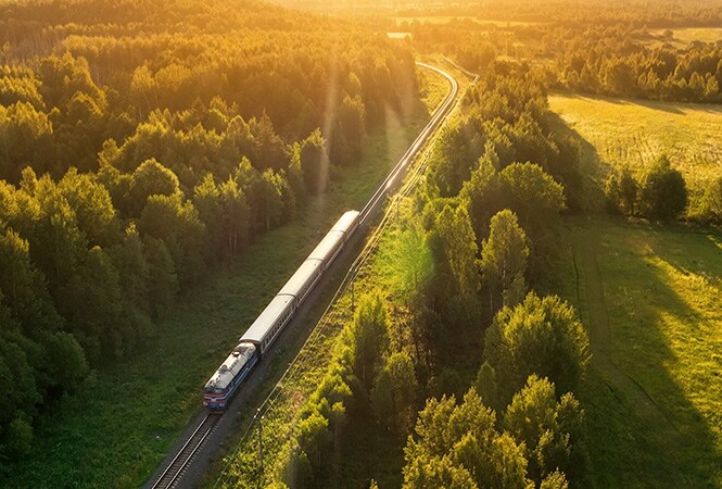 Pociąg jadący przez las, symbolizujący skuteczniejsze chłodzenie i większą efektywność transportu kolejowego.
