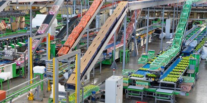 Zautomatyzowane linie sortujące w magazynach
