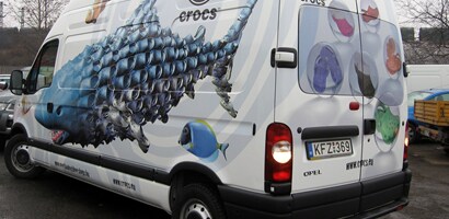Grafika na auta na samochodzie
