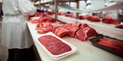 Produkty z zakresu bezpieczeństwa żywności dla przetwórstwa mięsa
