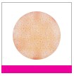 3M™ Petrifilm™ płytka do zliczania enterobakterii