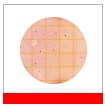 3M™ Petrifilm™ płytki do zliczania bakterii z grupy coli