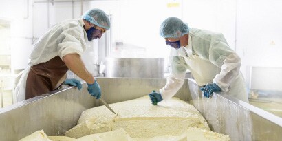 Produkty z zakresu bezpieczeństwa żywności dla przetwórstwa nabiału
